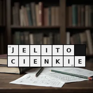 Hasło krzyżówkowe w przewodzie pokarmowym - jelito cienkie – rozwiązanie, synonimy, podpowiedzi i definicje krzyżówkowe